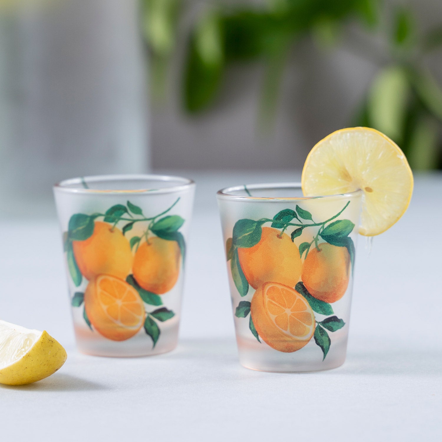 Shot Glasses -  Juicy Italian Oranges