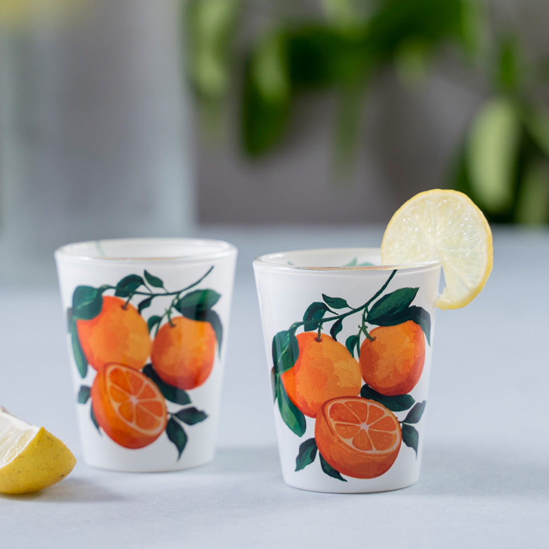 Glass Shot Glasses -  Juicy Italian Oranges