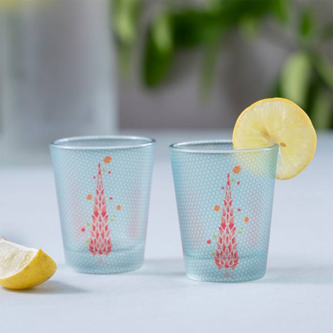 Frosted Shot Glasses - Babur