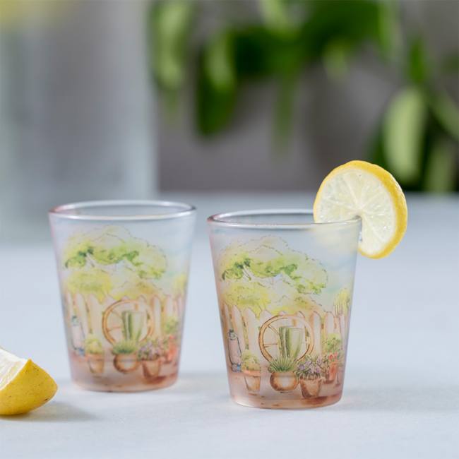 Frosted Shot Glasses - English Garden Party