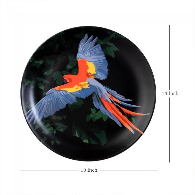 Decorative Wall Plate - Macaw parrot