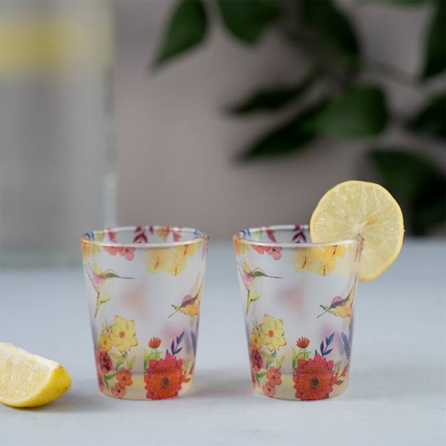 Frosted Shot Glasses - Humming Bird