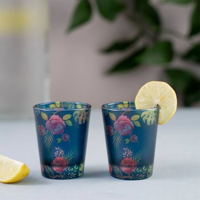 Frosted Shot Glasses - Misty Morning