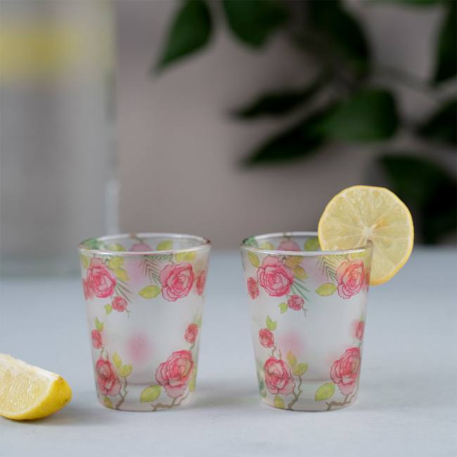 Frosted Shot Glasses - Misty Morning White