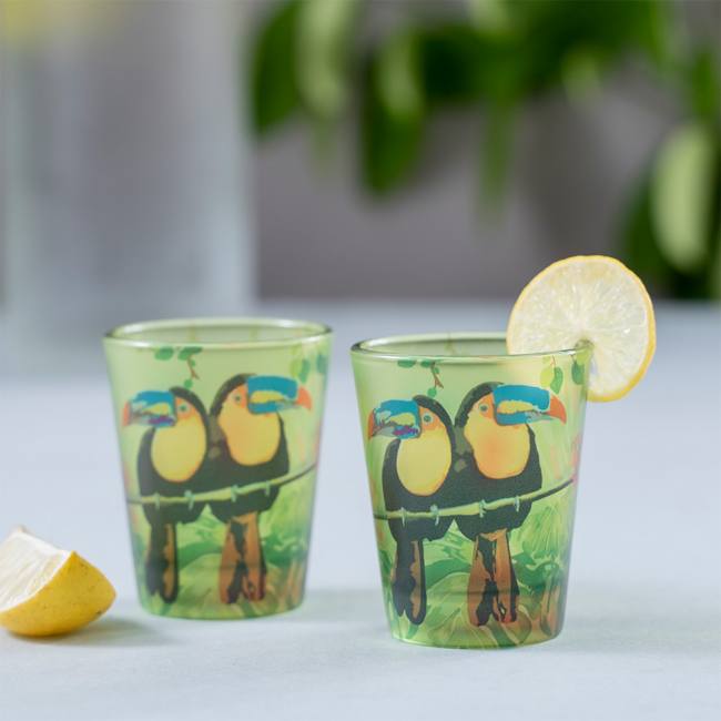 Frosted Shot Glasses - Toucan