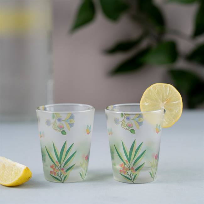 Frosted Shot Glasses - Vibrant Bliss