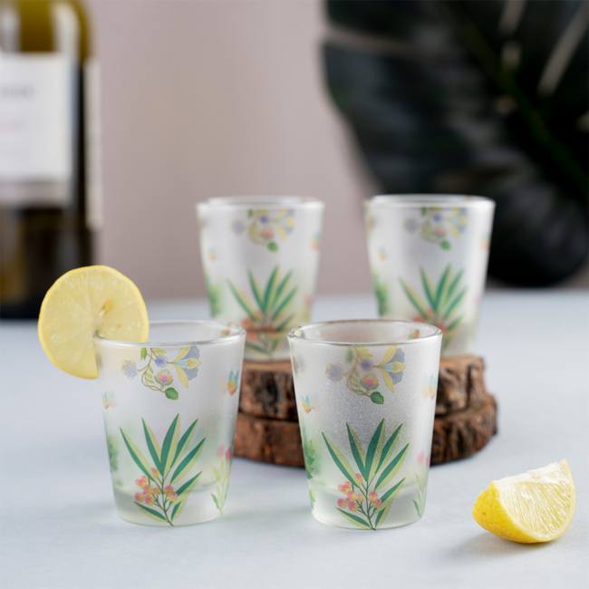 Frosted Shot Glasses - Vibrant Bliss