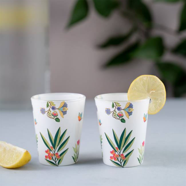 Glass Shot Glasses - Vibrant Bliss