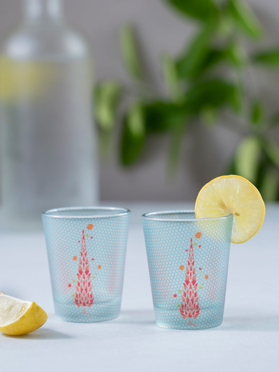 Frosted Shot Glasses