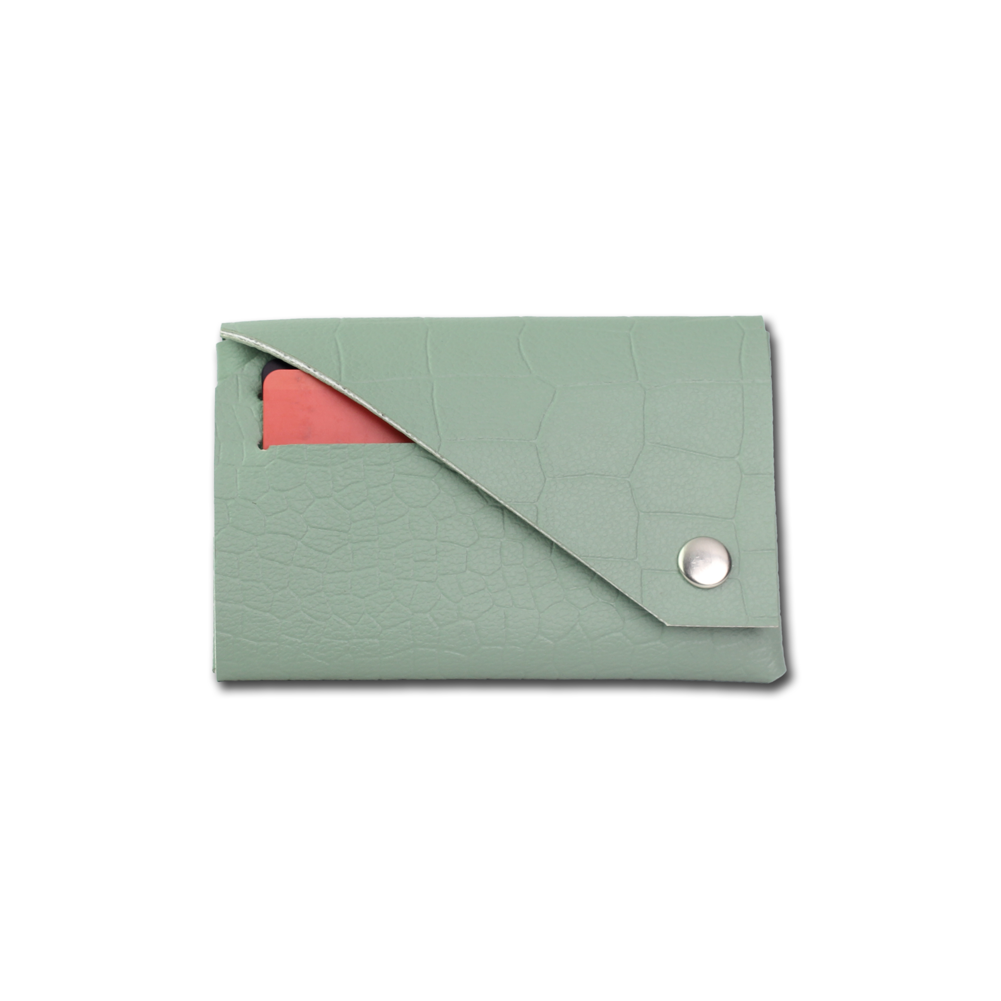 Card & Cash Holder