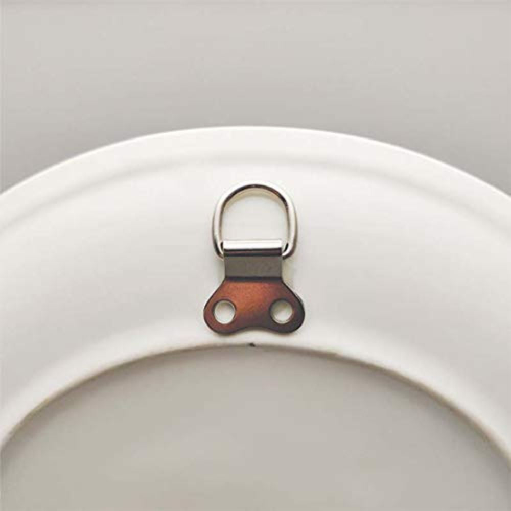Decorative Wall Plate - Royal Plumage Paradise