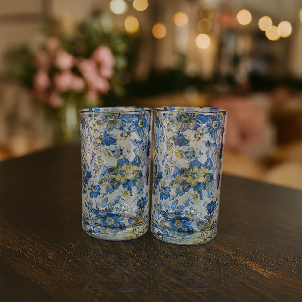Glass Tumblers (Set of 2) - Royal Plumage Paradise