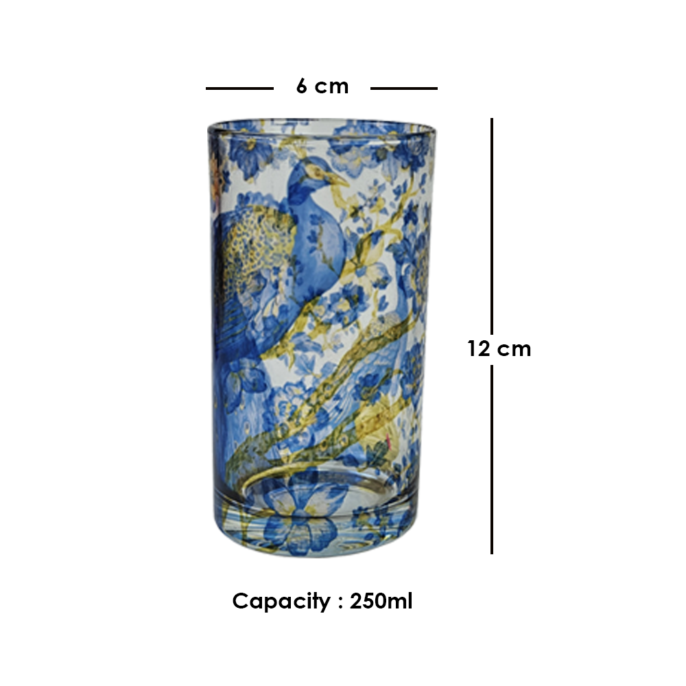 Glass Tumblers (Set of 4) - Royal Plumage Paradise