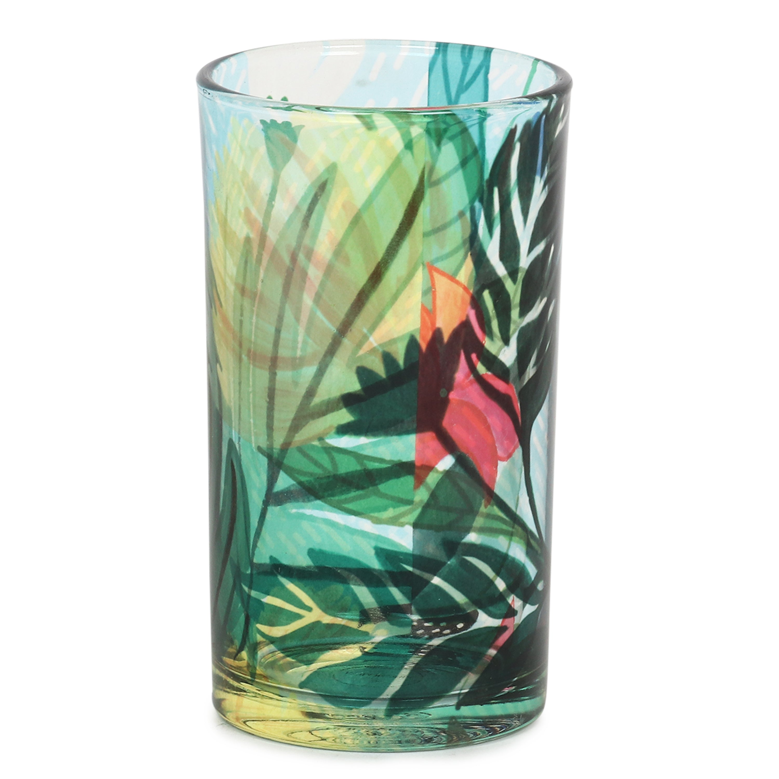 Glass Tumblers (Set of 4) - Floral Fantasy